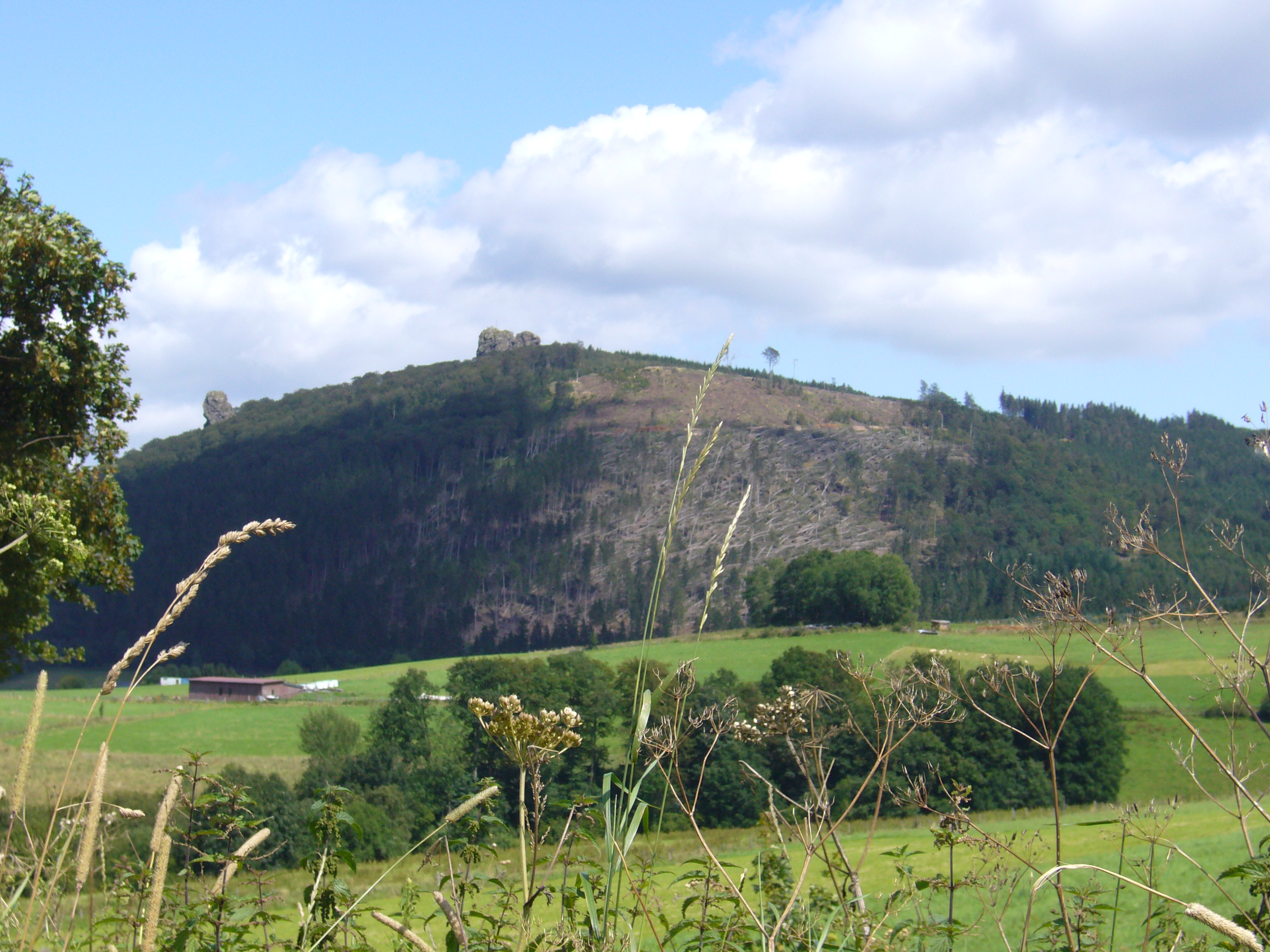 Winterberg omgeving zomer